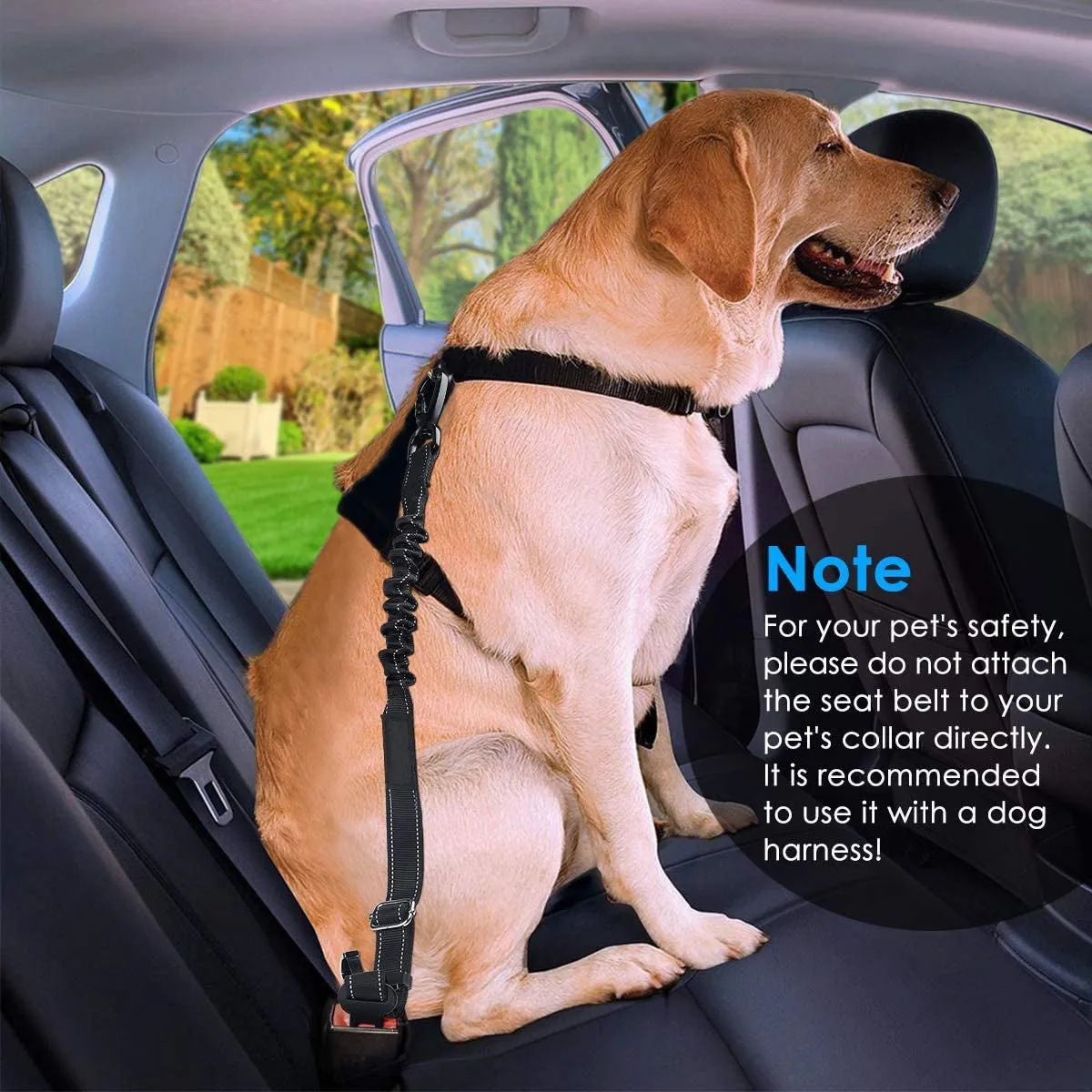 QUMY Dog Seat Belt Car Harness for Dogs Adjustable